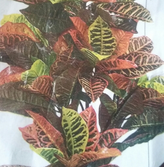 Realistic plant is maintenance free - Picture 3 of 5